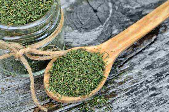 Dried dill on a wooden table.